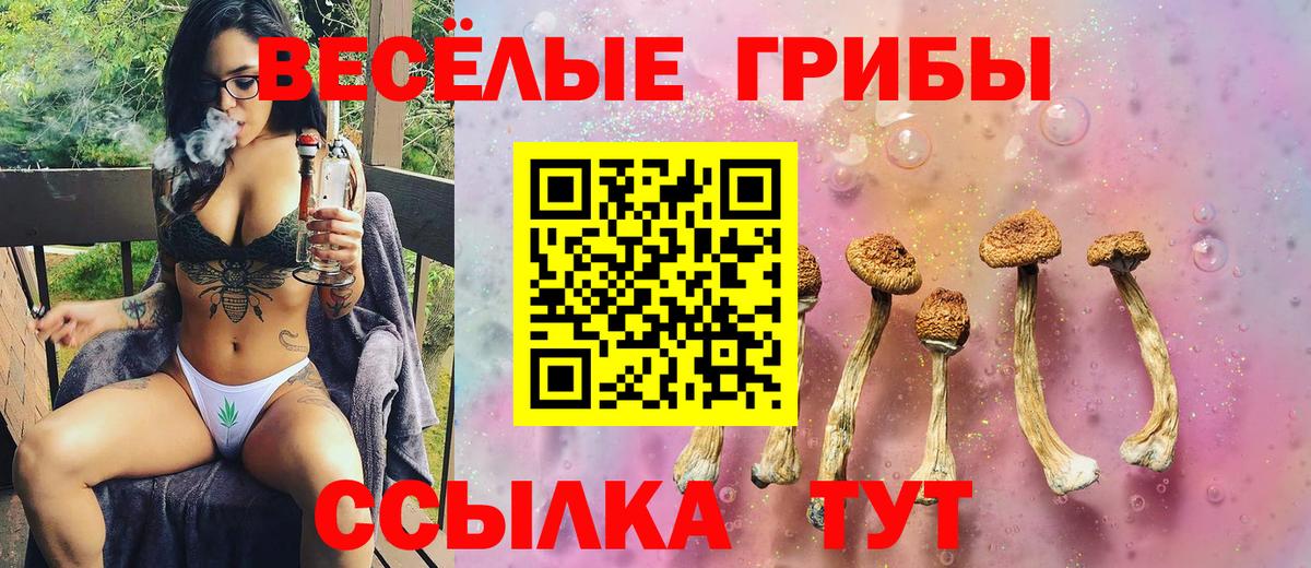 Среднеуральск  Псилоцибиновые грибы ЛСД  Вход с VPN  Псилоцибиновые грибы Psilocybine cubensis 