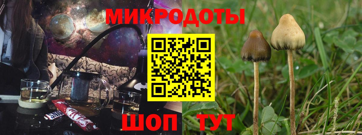 Псилоцибиновые грибы мицелий Среднеуральск